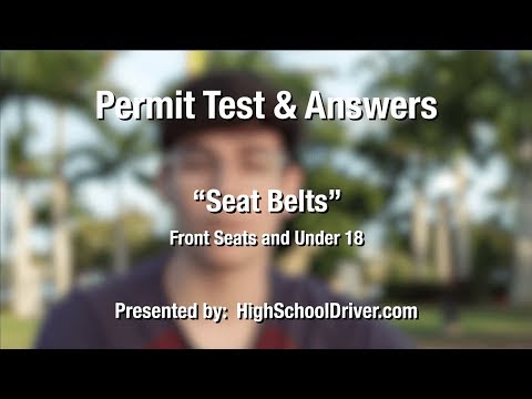 Seat Belt Laws - Florida Permit Test