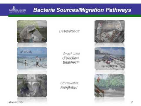 CHNEP Watershed Summit: Sarasota County's Multi-Jurisdictional Beach Bacteria Action Plan 