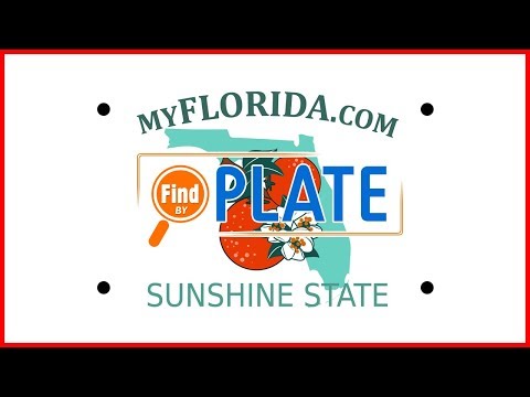 How to Lookup Florida License Plates and Report Bad Drivers