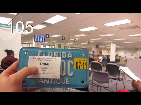 Coveted Antique Florida License Plate! | vlog 105